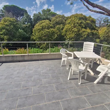 Holiday home 3 Pieces Climatisee, Terrasse, Piscine, Proche Commerces Et Centre-ville - - Fr-1-780-64 Sainte-Maxime